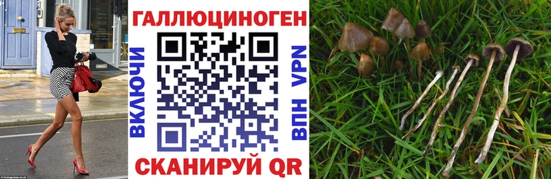 Псилоцибиновые грибы ЛСД  Ивдель 